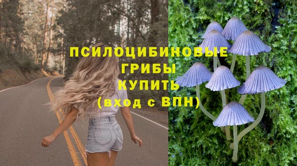 МДМА Богданович