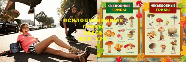 МДПВ Богородицк