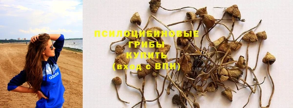 первитин Кукмор